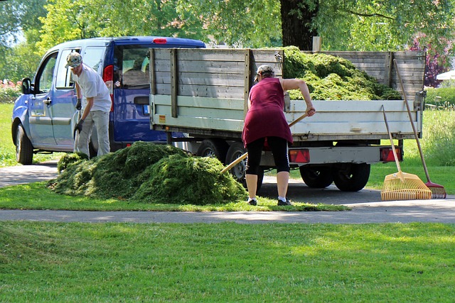 Landscapers